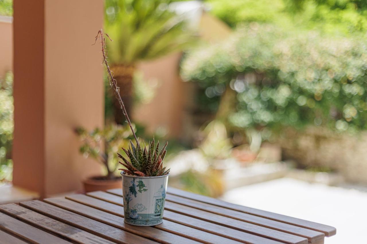 Aloe Apartments コルフ島 エクステリア 写真