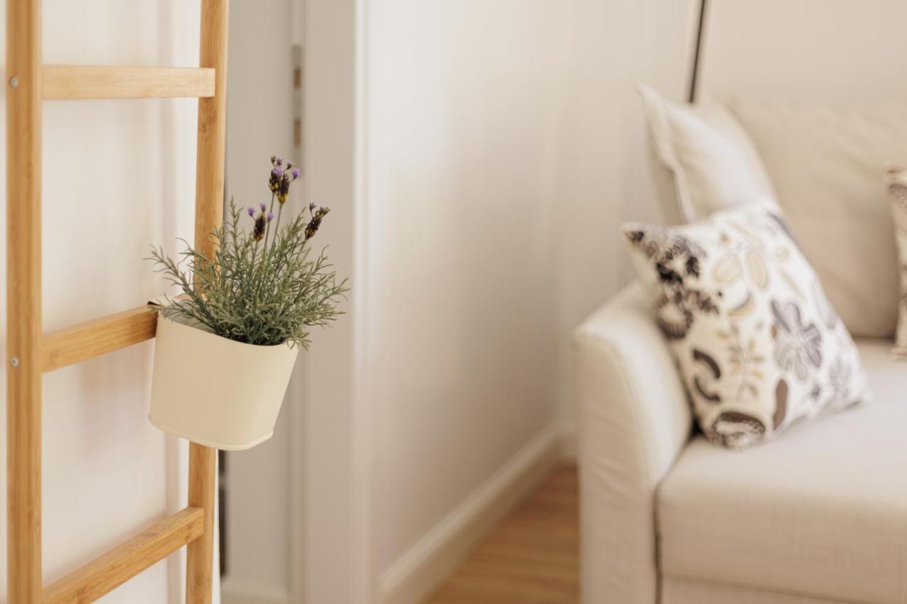 Aloe Apartments コルフ島 エクステリア 写真