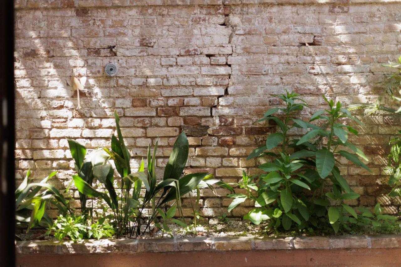 Aloe Apartments コルフ島 エクステリア 写真