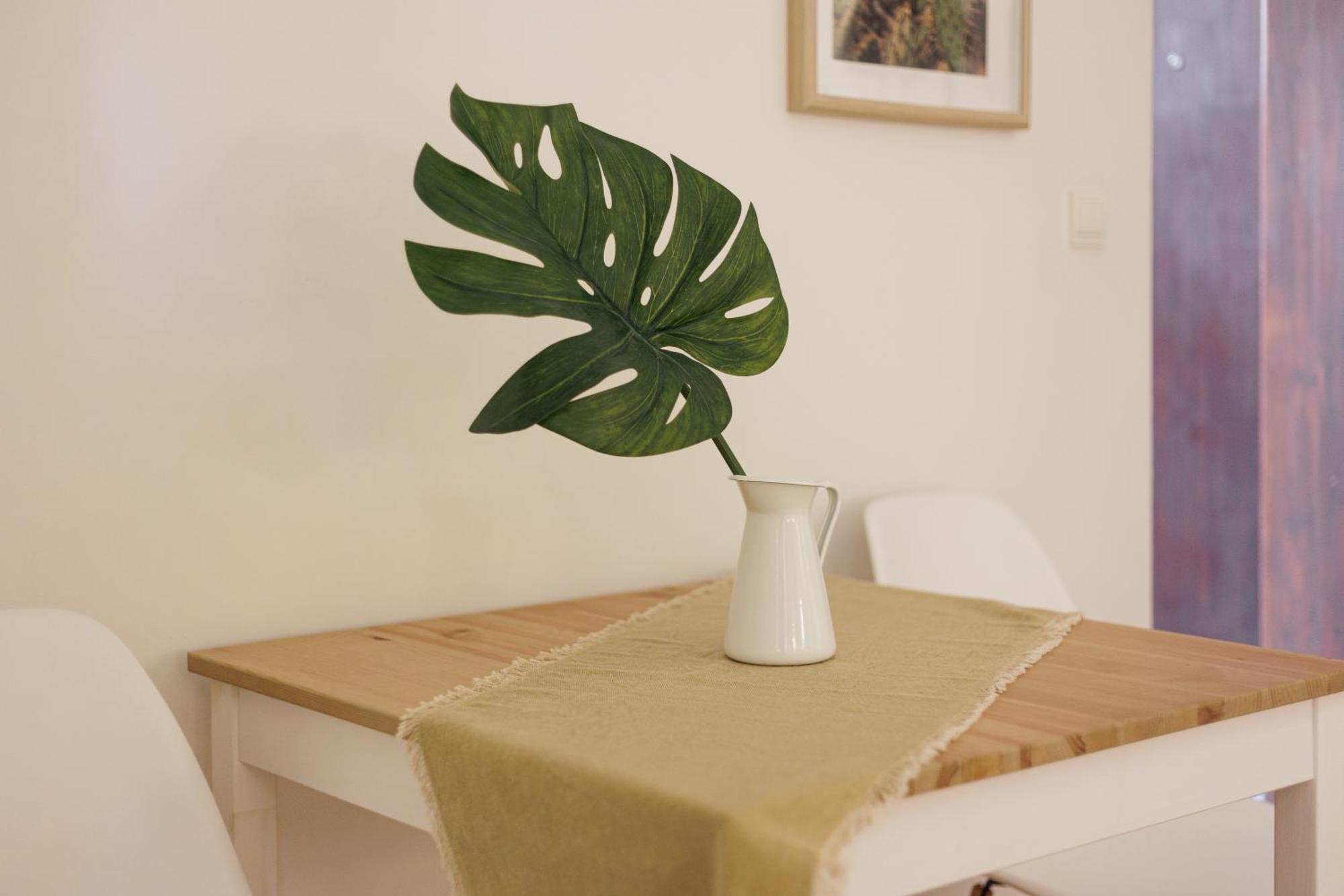 Aloe Apartments コルフ島 部屋 写真